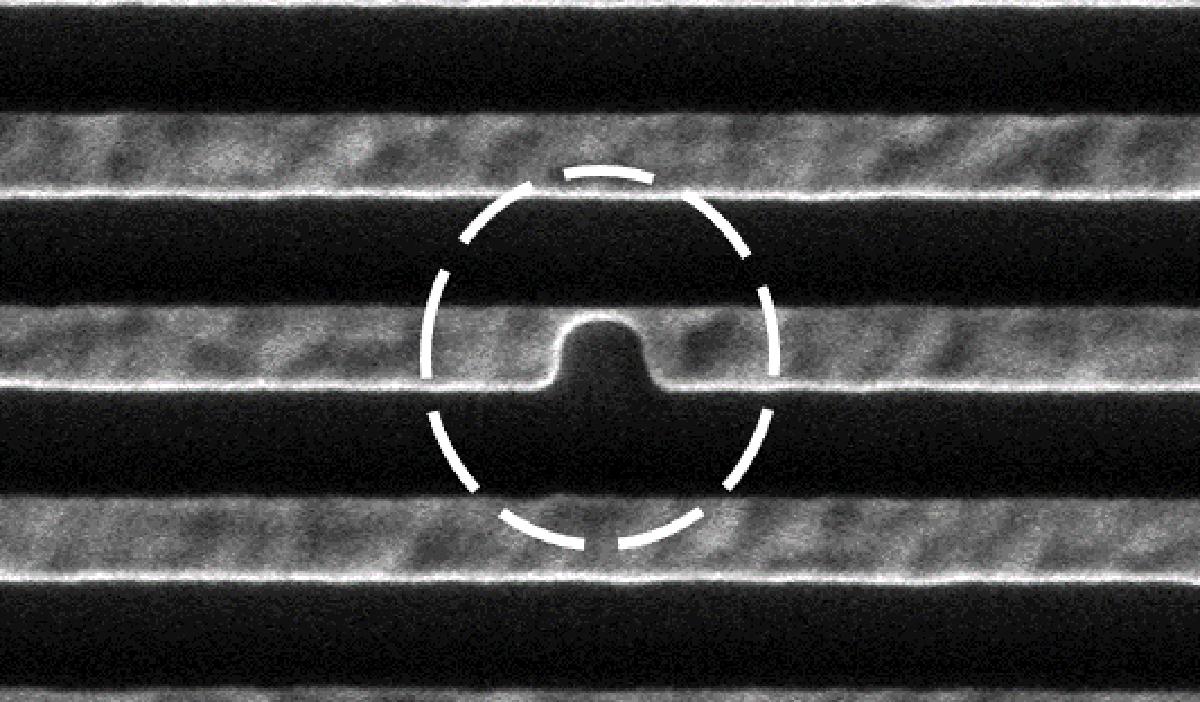 alt-image