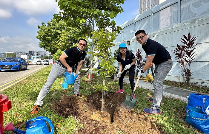 Singapore, one million trees