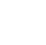 alt-image