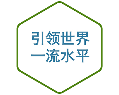 引领世界⼀流⽔平
