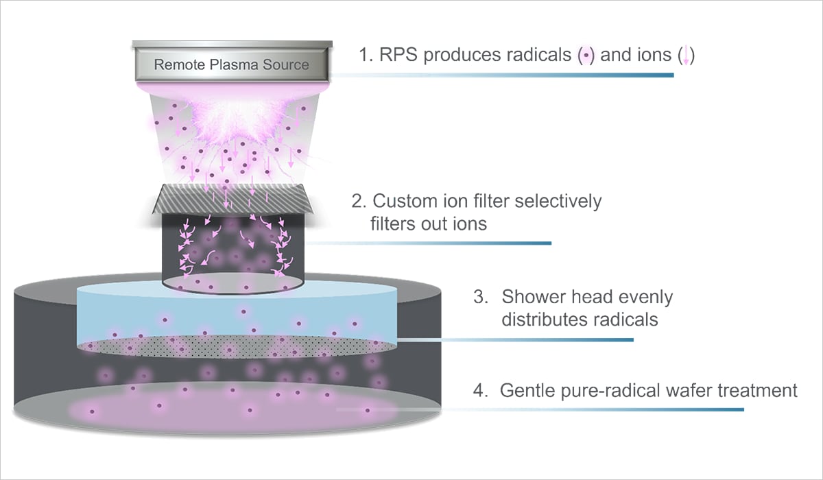 Viva delivery system