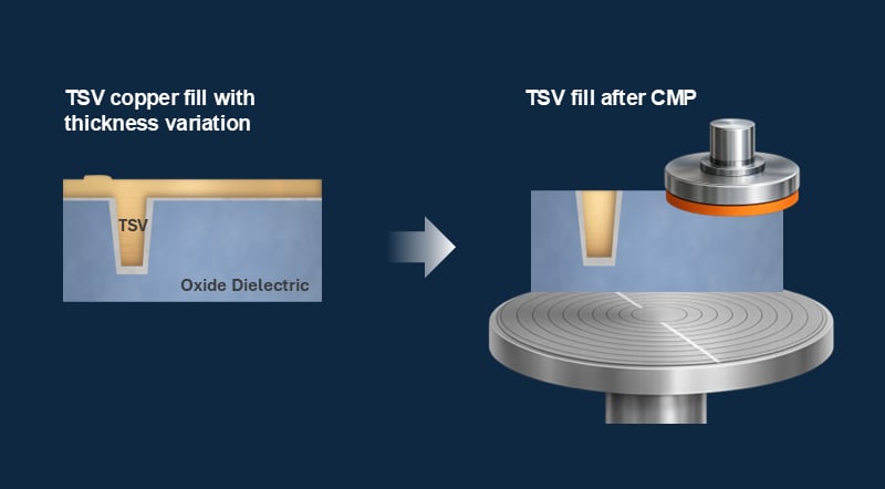 cmp - tsv